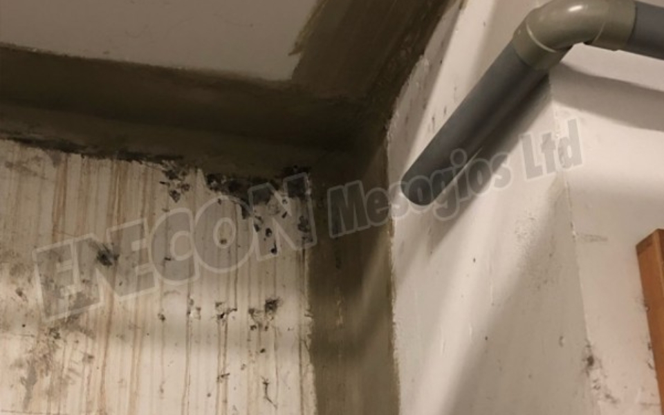 Water leaks in basement electrical room repaired